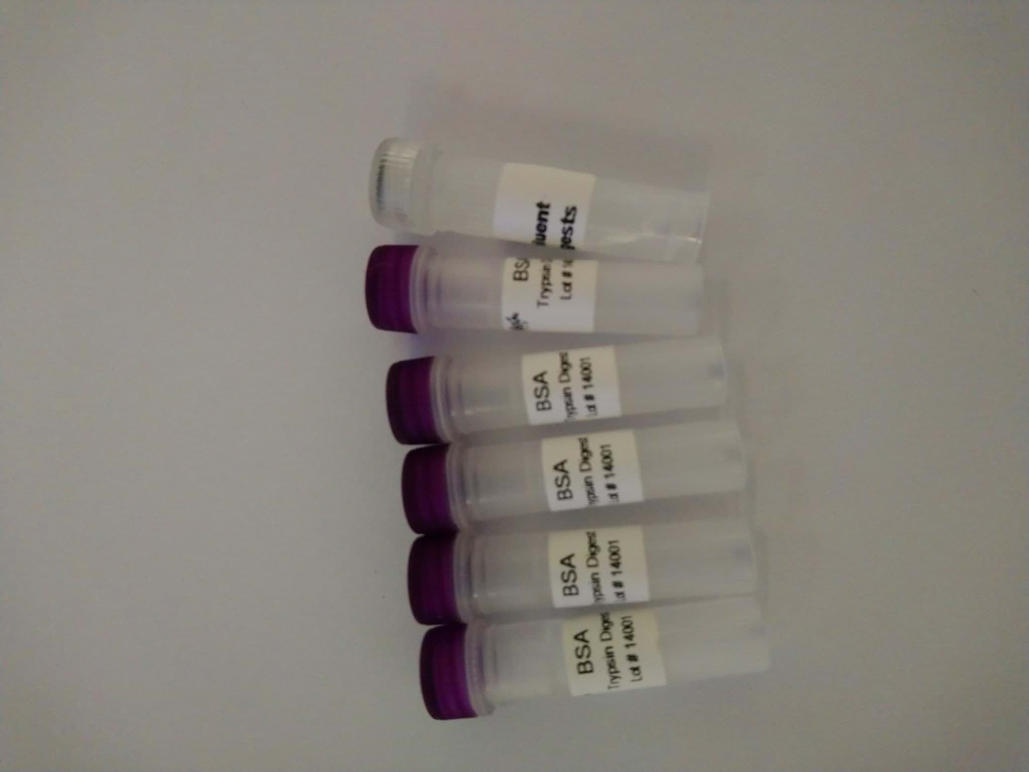 Obrázok výrobcu BSA trypsin digest; 5 x 50 pmol